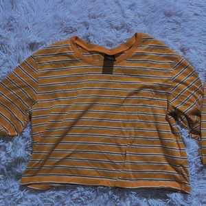 Zine Mustard Yellow Cropped Top